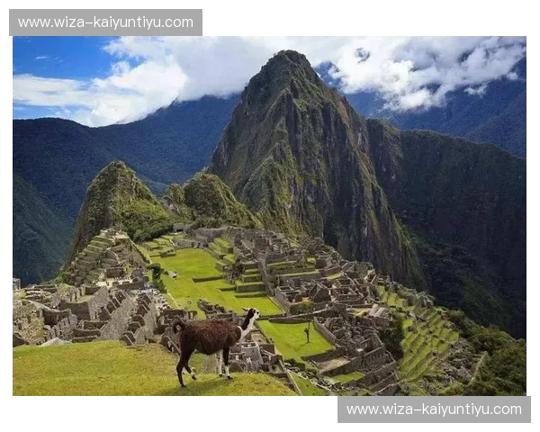 橙色风暴席卷安第斯:荷兰vs秘鲁,一场关于灵魂与战术的跨大西洋博弈 橙色风暴席卷安第斯:荷兰vs秘鲁,一场关于灵魂与战术的跨大西洋博弈